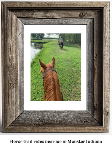 horse trail rides near me in Munster, Indiana